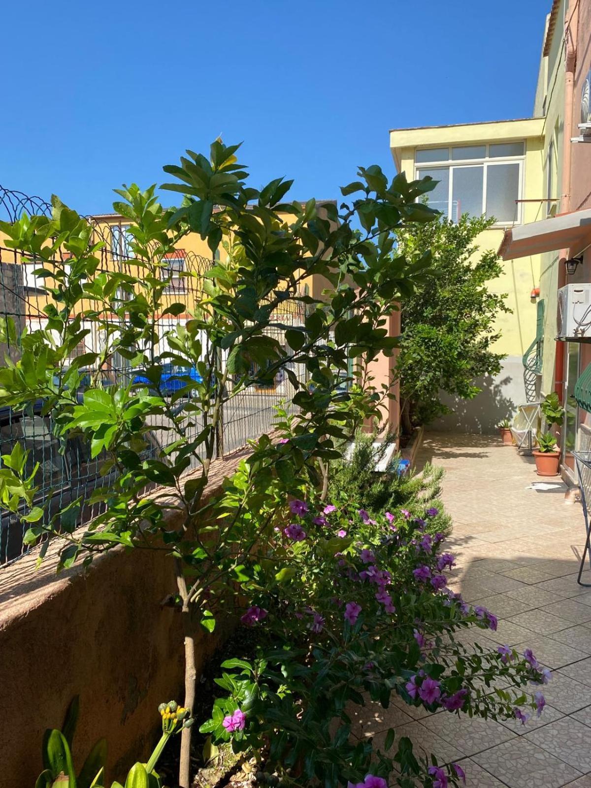 Lemon House Leilighet Sassari Eksteriør bilde