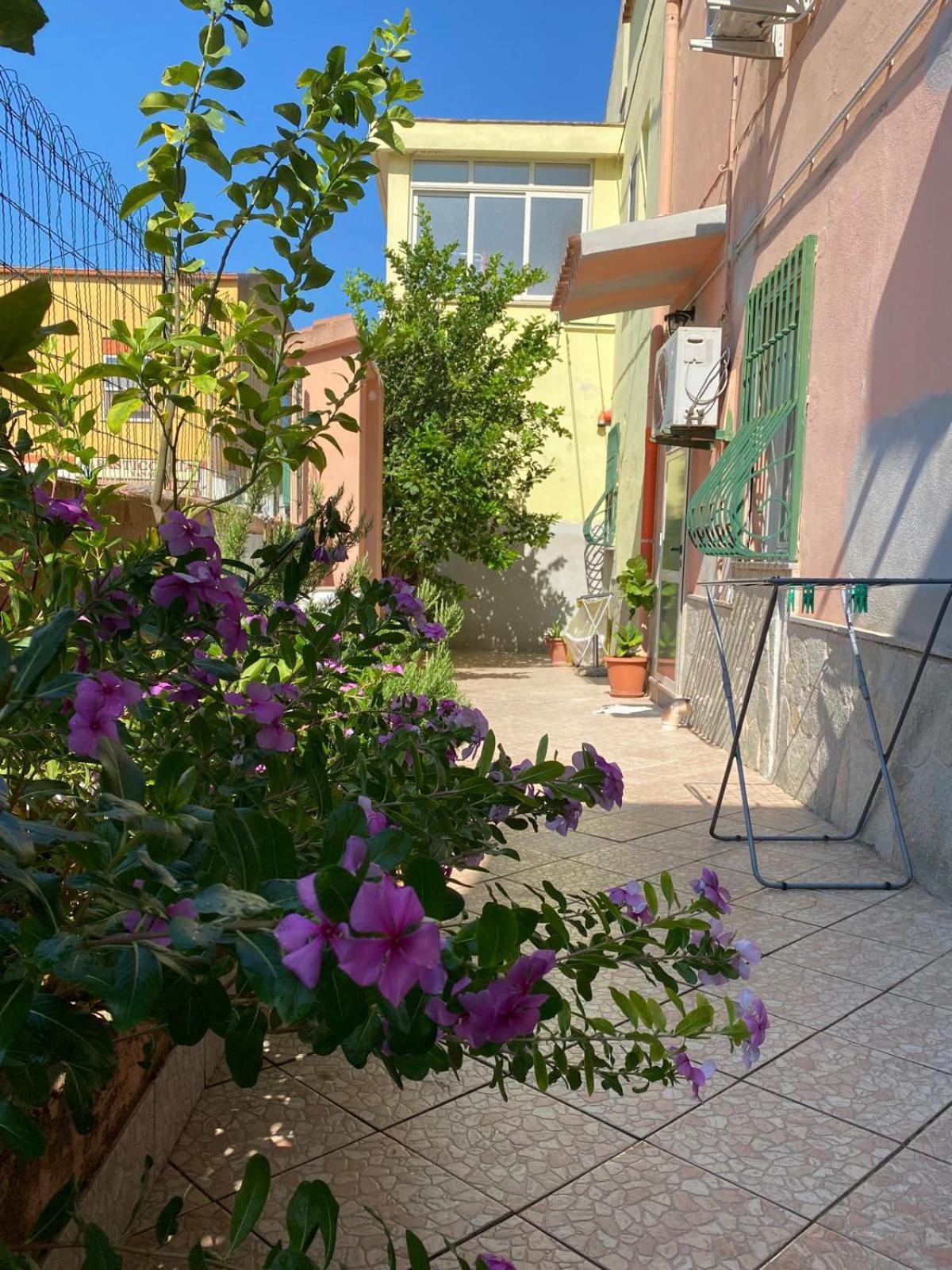 Lemon House Leilighet Sassari Eksteriør bilde